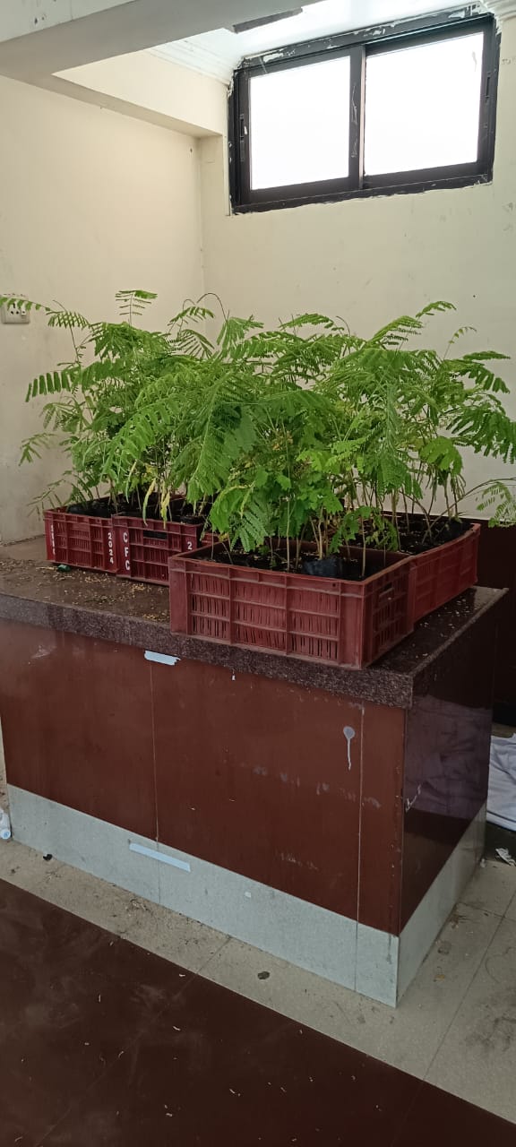 Green Today Breath Tommorrow- 1000 Sapling Distribution to the visitors of trsade Fair Phase 1