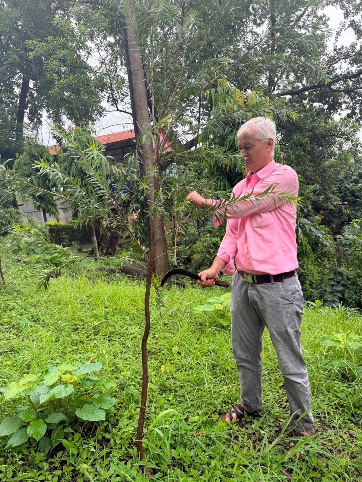 RC Butwal Downtown Supports District 1 Lakh Tree Plantation Campaign